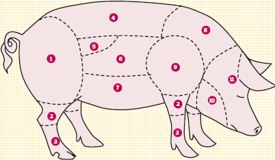 DER RÜCKENSPECK - EL LOMO DE CERDO - THE PORK LOIN - L´ÉCHINE- SŁONINA