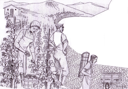 ABHANG – LADERA – SLOPE – VERSANT – ZBOCZE